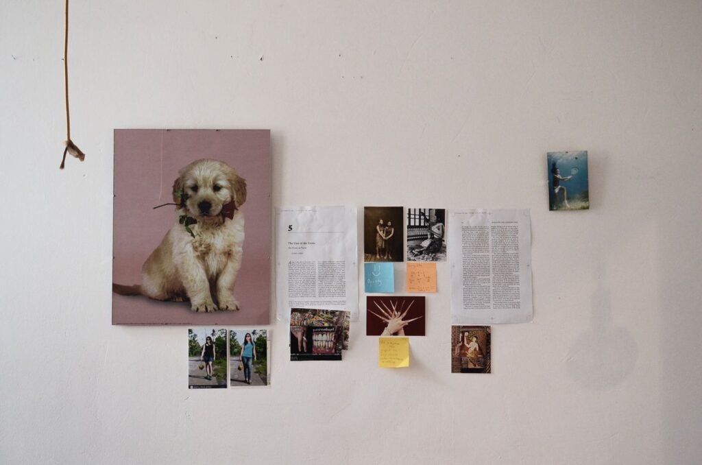 Pet photographs displayed on a wall