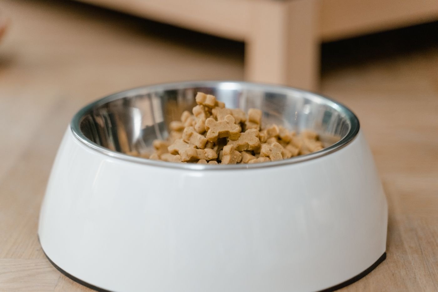 Dog Food Bowls and Scoops: A Simple Cleaning Routine