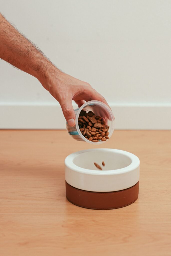 Hand measuring dry dog food into a bowl