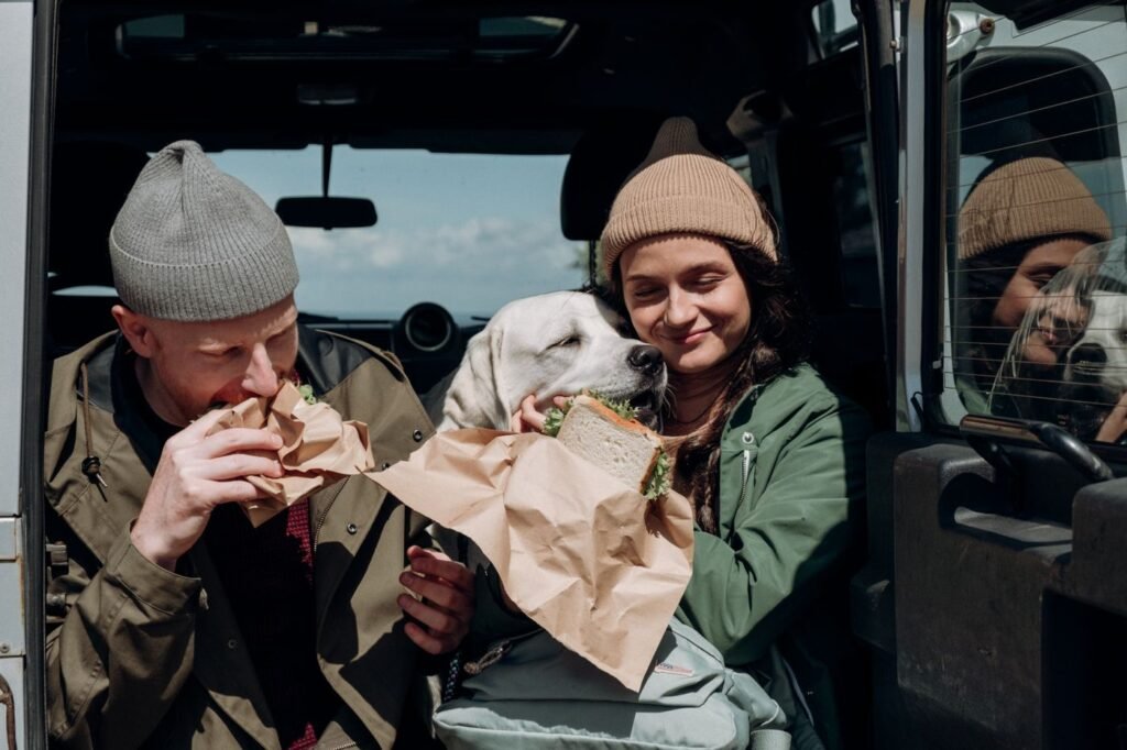 Couple enjoying a short outdoor break with their dog beside a van