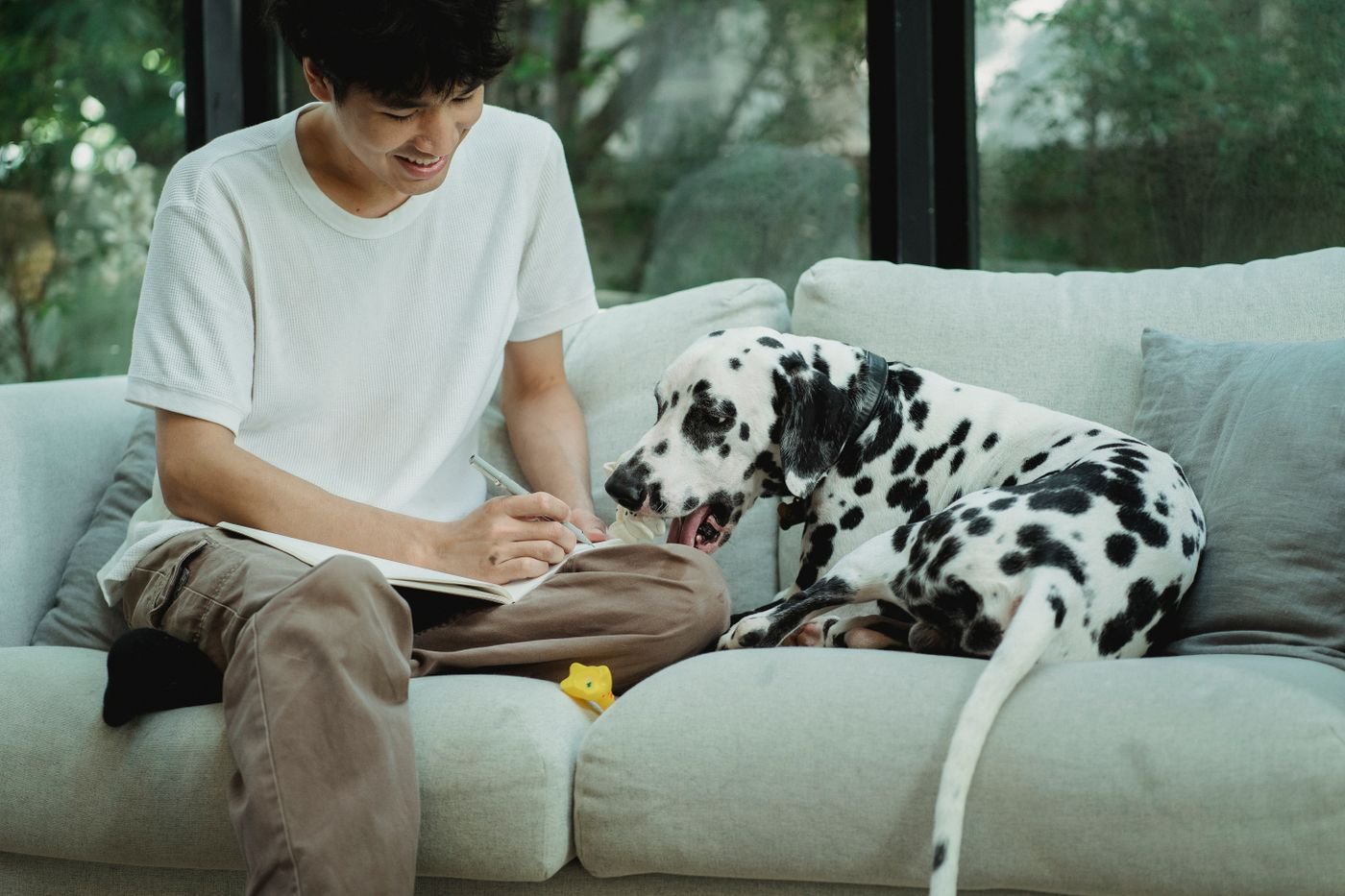 A Simple Weekly Planner for Life With Your Pet