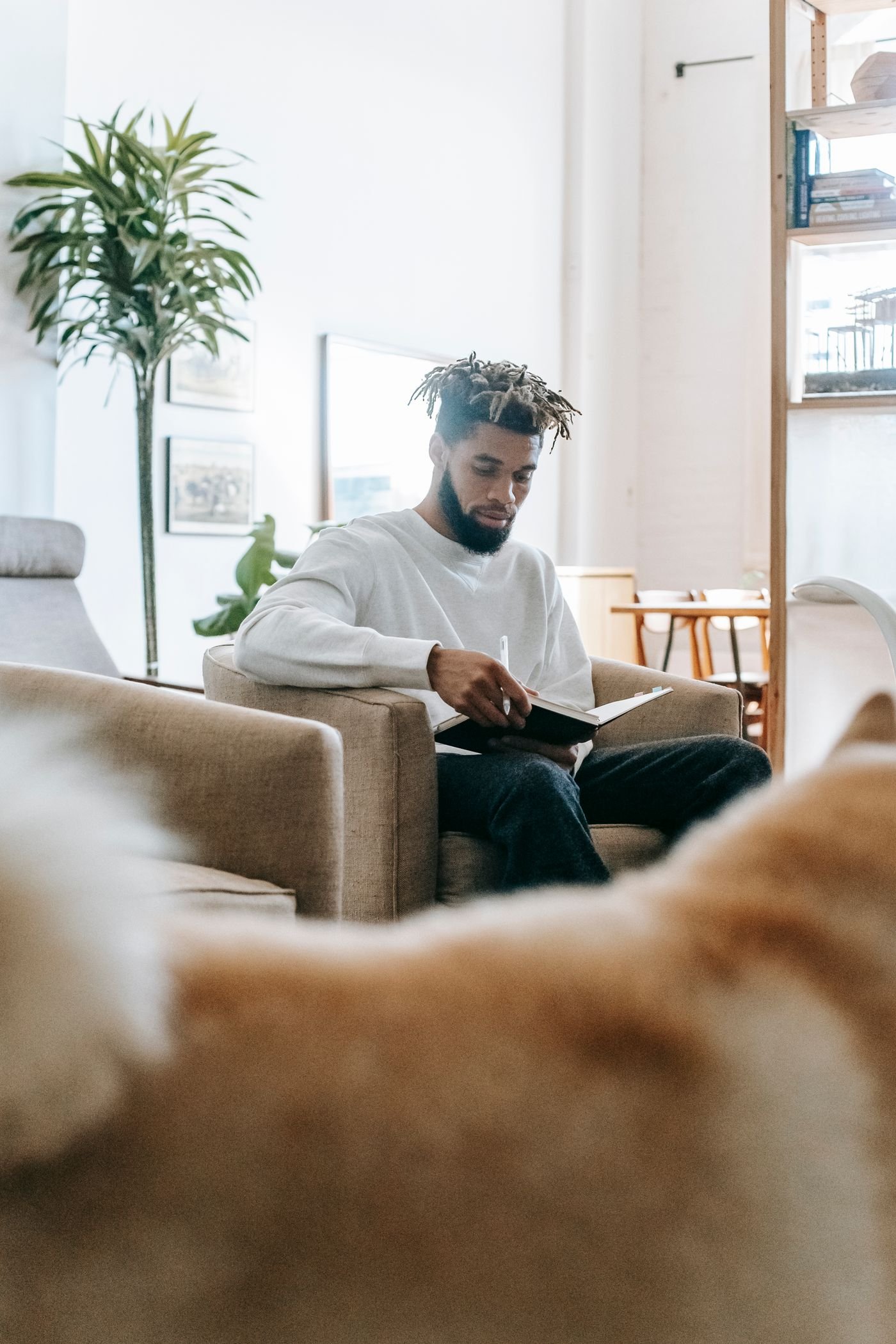 Before the Welcome Home: A Pet Parent’s Planning Checklist