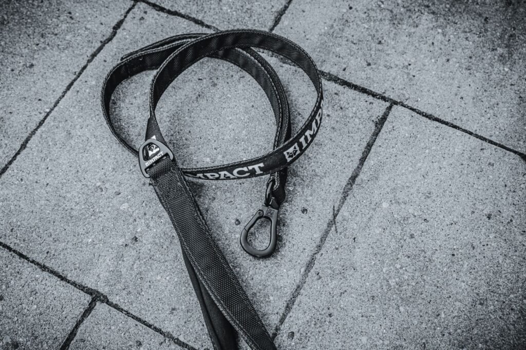 Dog leash and collar arranged together
