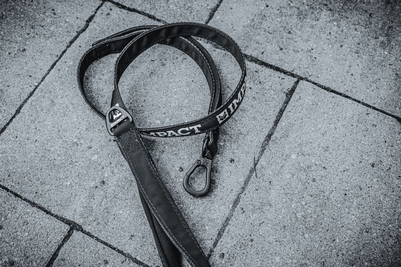 Dog leash and collar arranged together