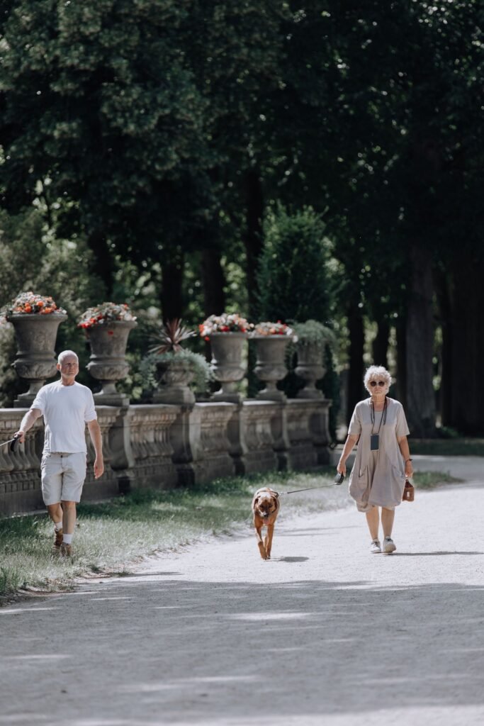 Person walking a dog outdoors