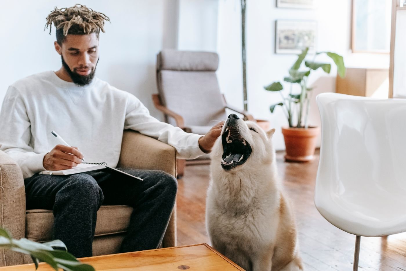 Person caring for a dog at home