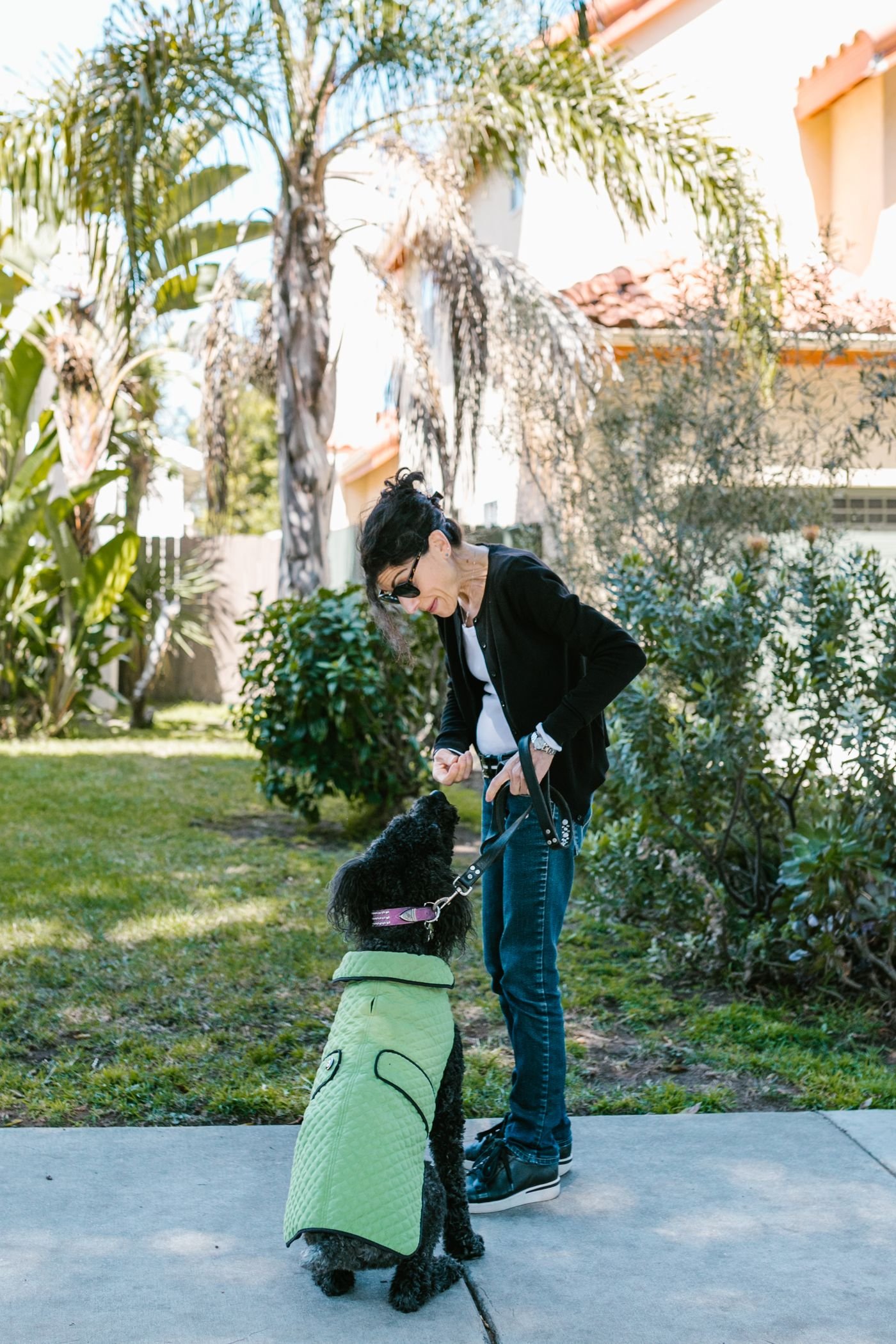 Dog Recall Practice: Make Coming Back Worthwhile